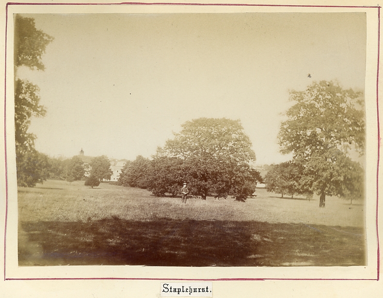 Staplehurst, Kent. Garden with boy and house in background. Photographed about 1875-80